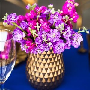 Meet your Posher, Bridgette